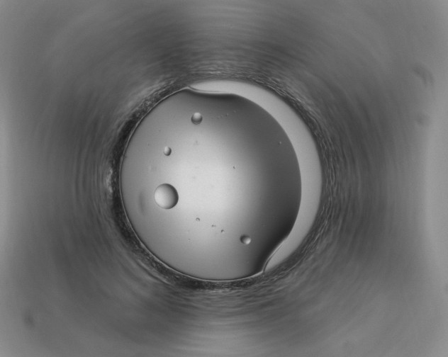 X0000113300692200910131048