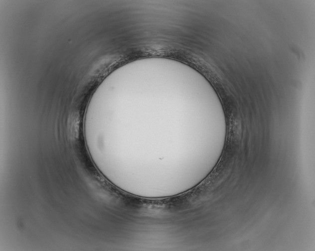 X0000113300694200910131048