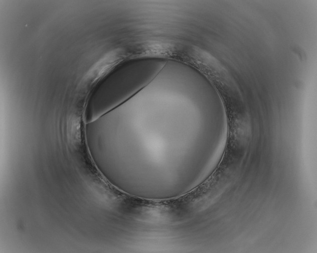 X0000113300696200910131048