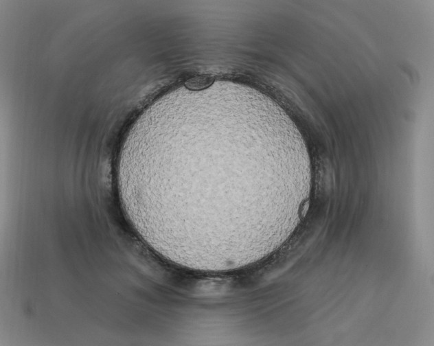 X0000113300700200910131047