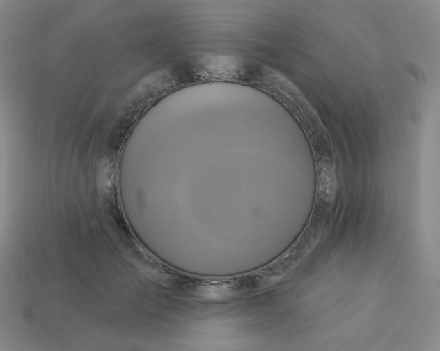 X0000113300701200910131047