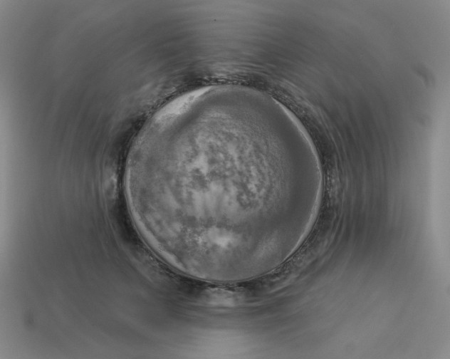 X0000113300703200910131047