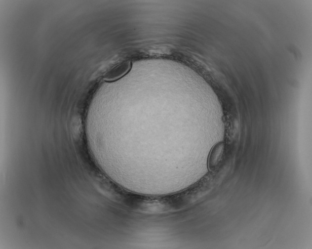 X0000113300704200910131047