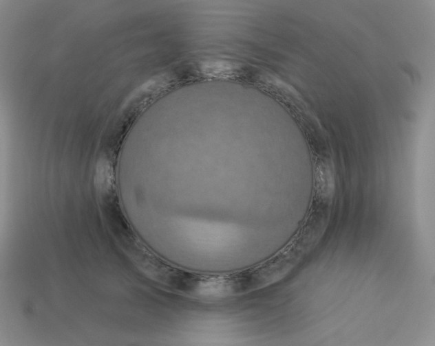 X0000113300705200910131047