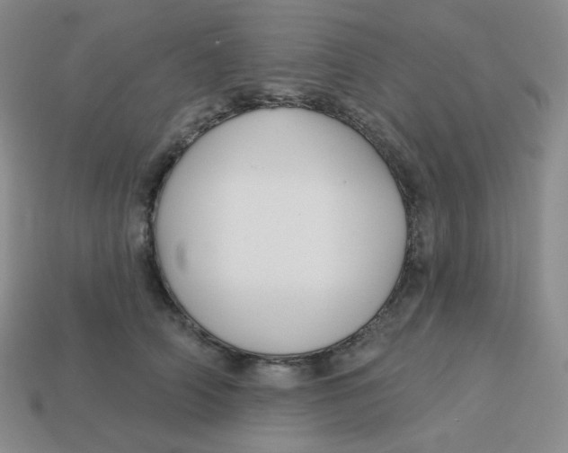 X0000113300706200910131047