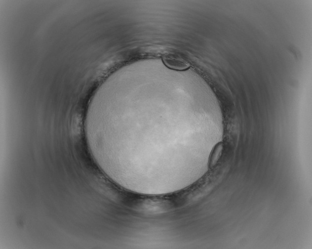 X0000113300708200910131047