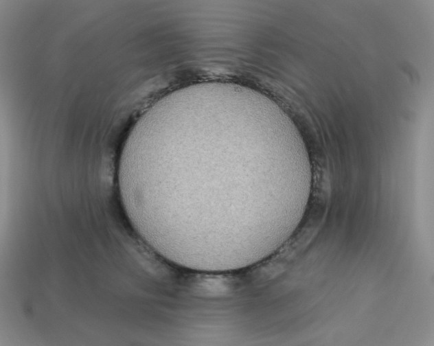 X0000113300710200910131047