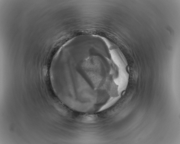 X0000113300711200910131047