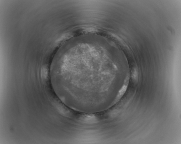 X0000113300715200910131047