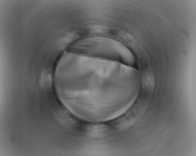X0000113300716200910131047