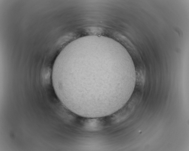 X0000113300717200910131047