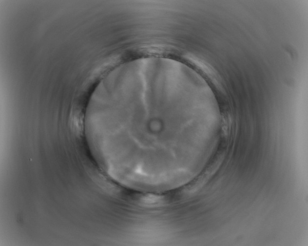 X0000113300718200910131047