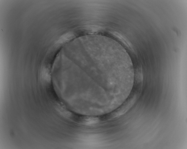 X0000113300719200910131047