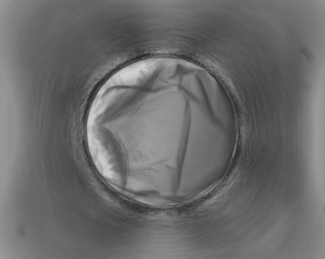 X0000113300721200910131047