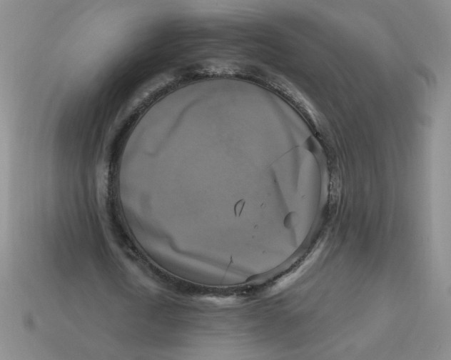 X0000113300722200910131047