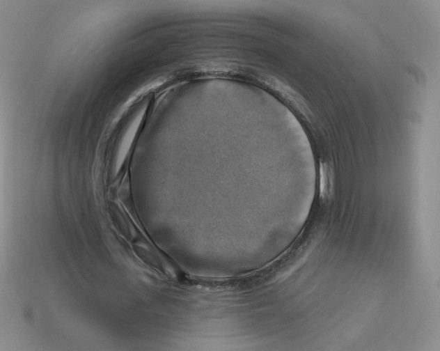 X0000113300723200910131047