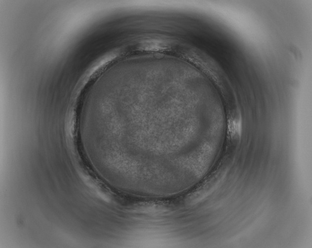 X0000113300724200910131047