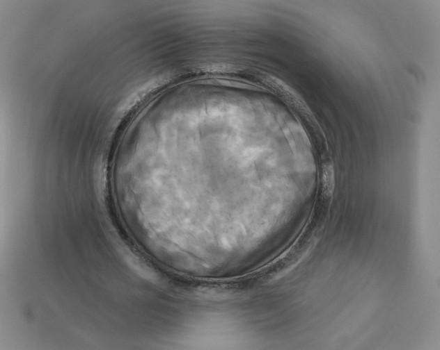 X0000113300725200910131047