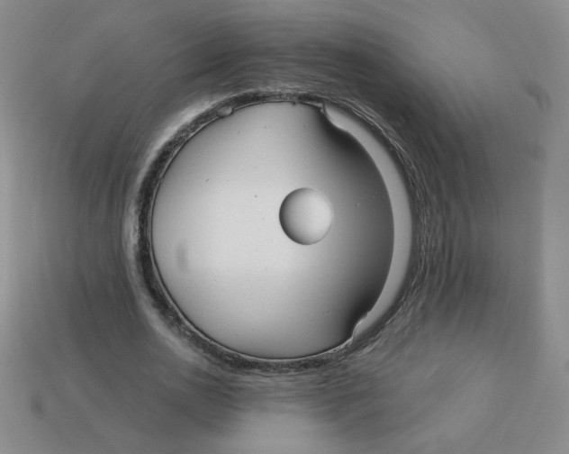 X0000113300726200910131047