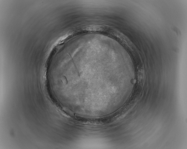 X0000113300727200910131047
