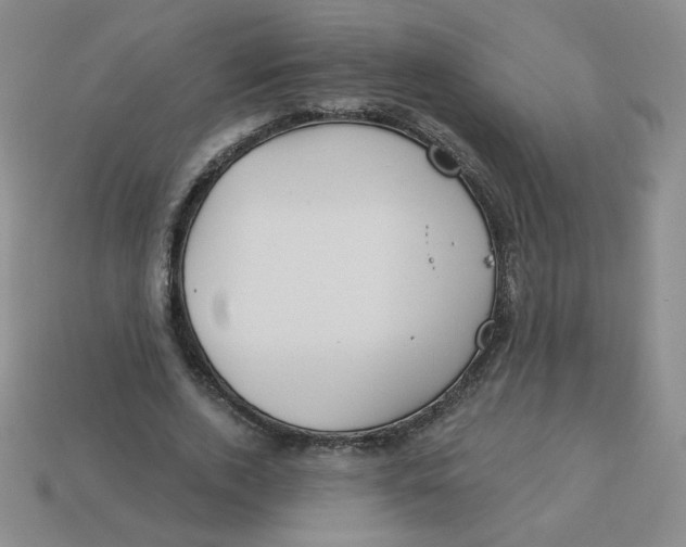 X0000113300728200910131047