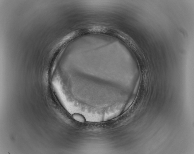 X0000113300729200910131047