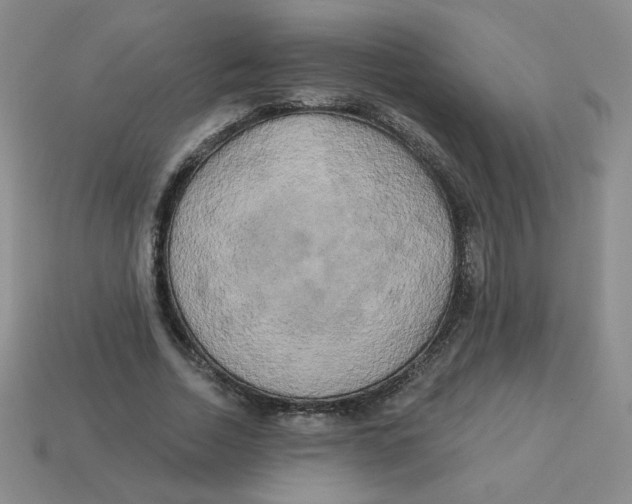 X0000113300730200910131047