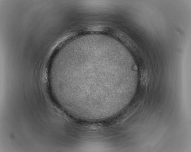 X0000113300731200910131047