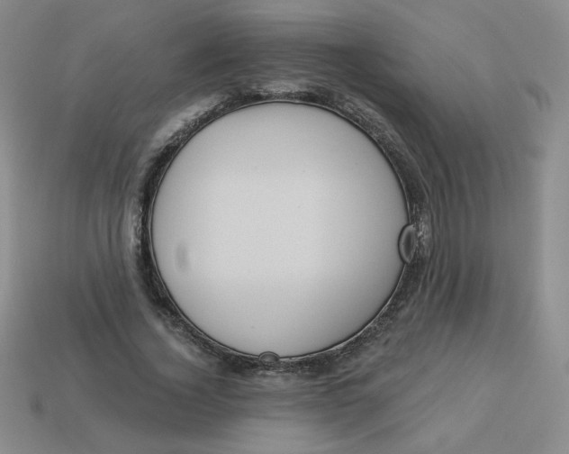 X0000113300732200910131047