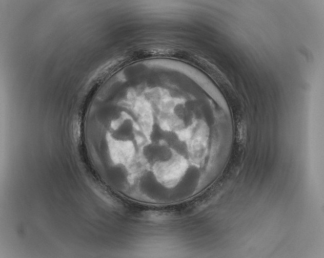 X0000113300733200910131047