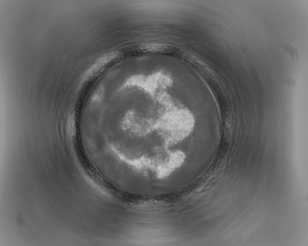 X0000113300734200910131047