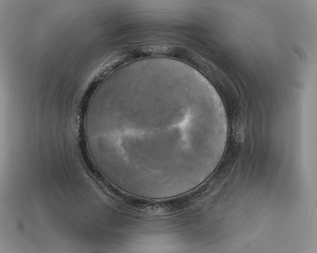 X0000113300735200910131047