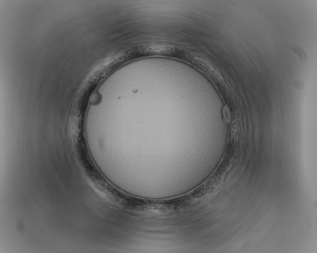 X0000113300736200910131047