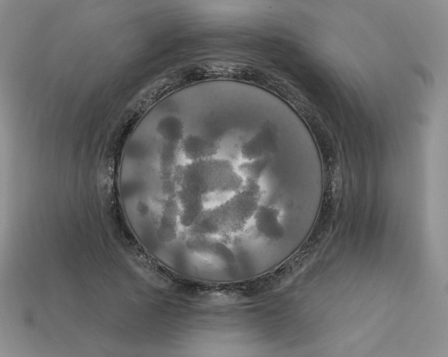 X0000113300737200910131047