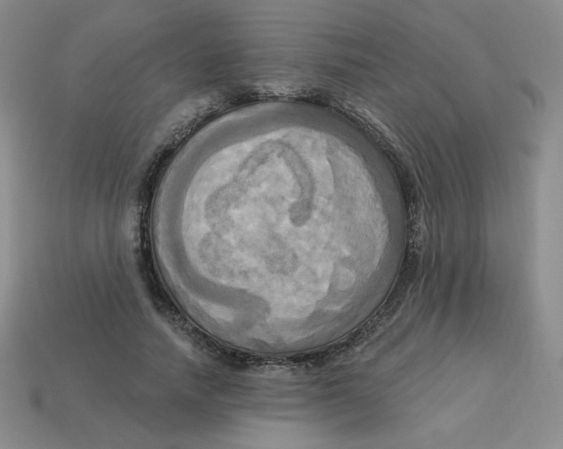 X0000113300738200910131047