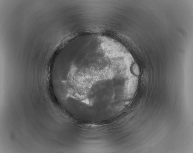 X0000113300739200910131047