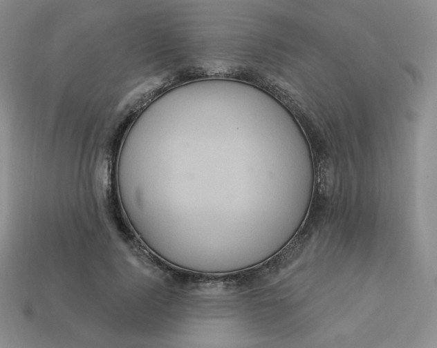 X0000113300740200910131047
