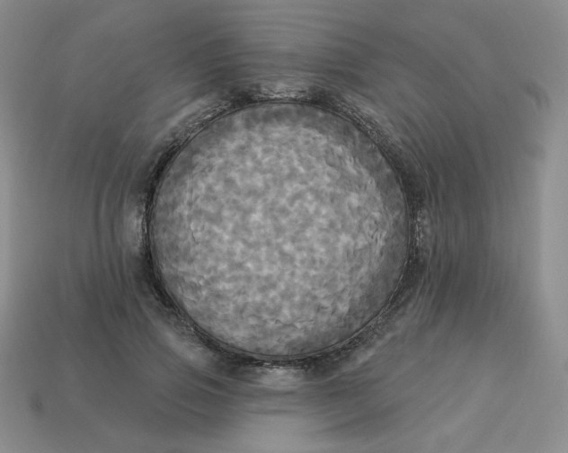 X0000113300741200910131047