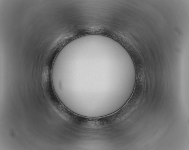 X0000113300744200910131047