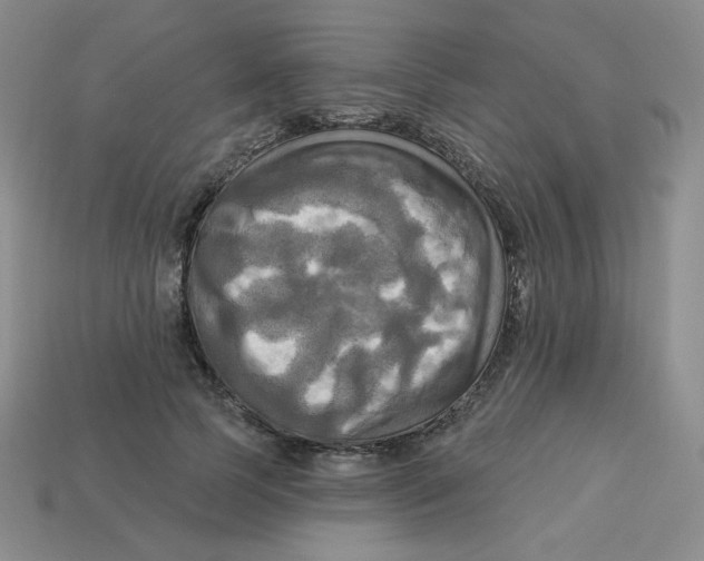 X0000113300745200910131047