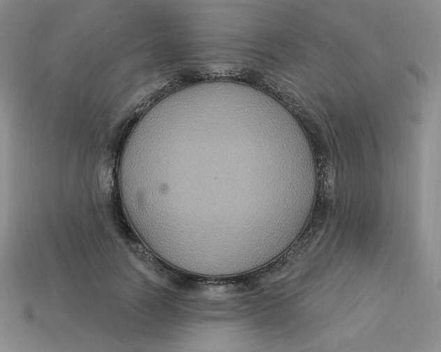 X0000113300746200910131047