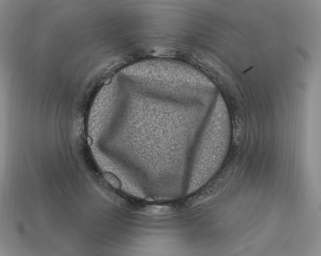 X0000113300748200910131047