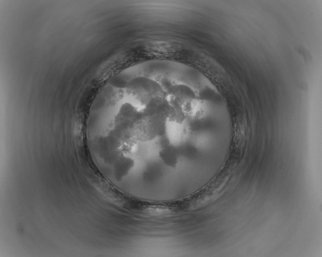 X0000113300749200910131047