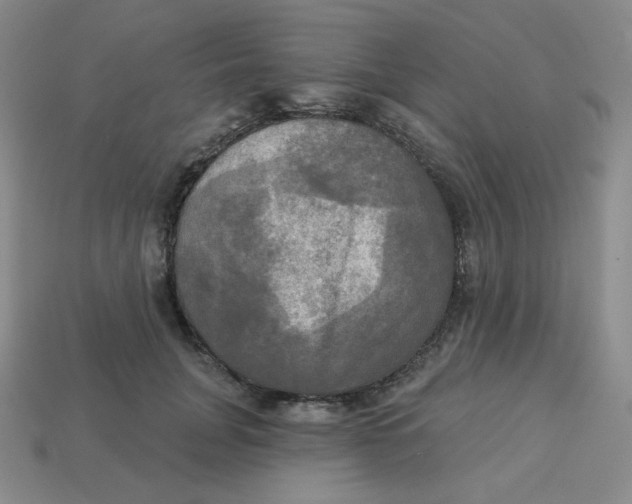 X0000113300751200910131047