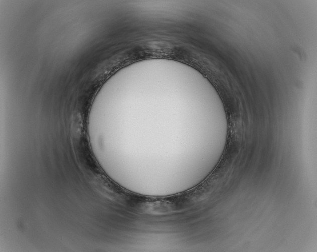 X0000113300752200910131047
