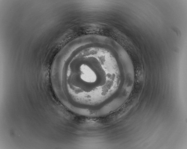 X0000113300753200910131047