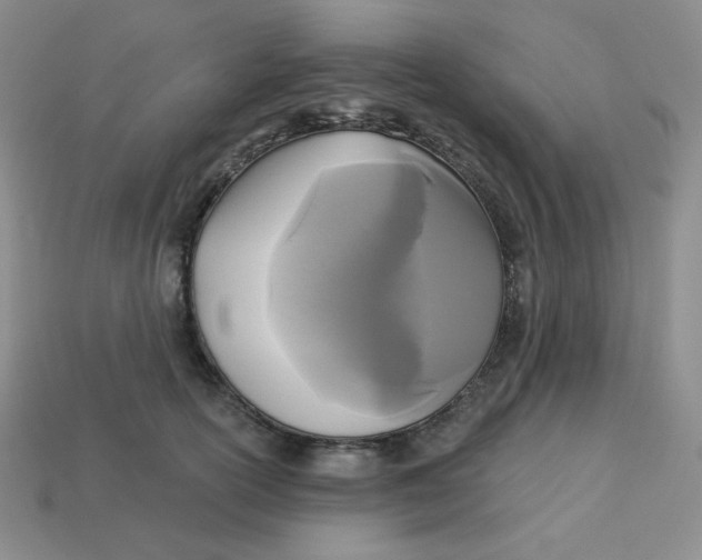 X0000113300754200910131047