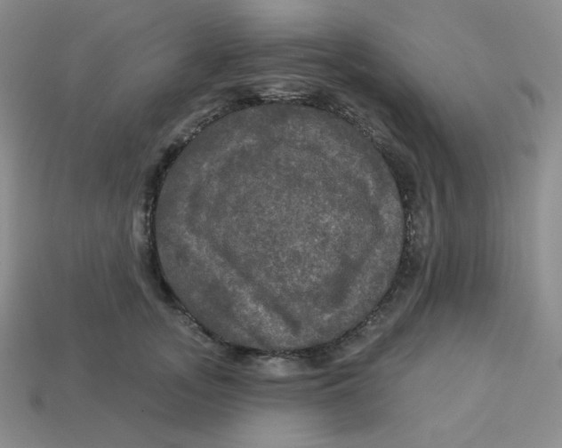 X0000113300755200910131047