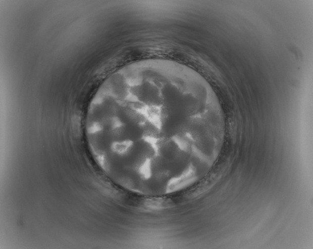 X0000113300757200910131047