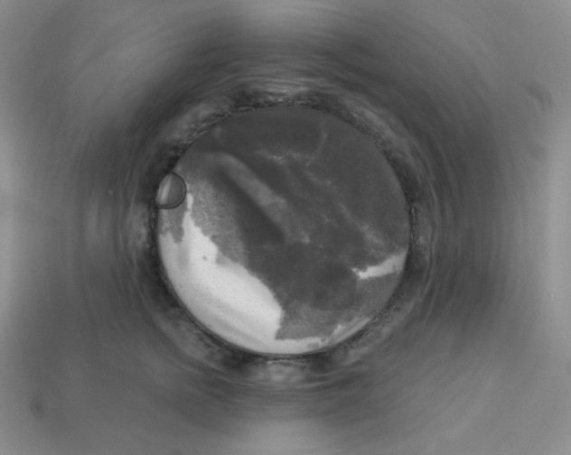 X0000113300758200910131047